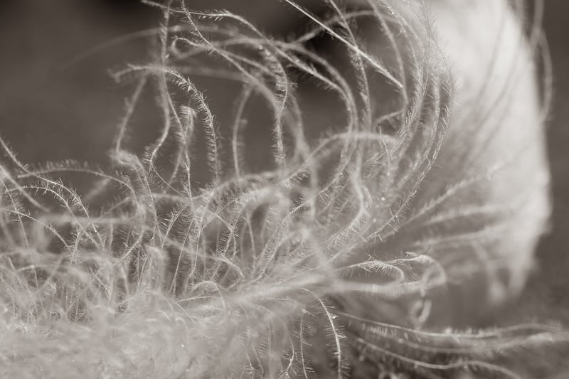 Soft Utterances